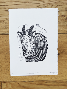 Mountain Goat | 5x7"